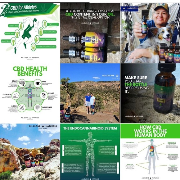 Meet your Posher, Luke - Picture 3 of 10